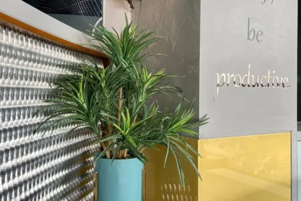 kaas-design-studio-5-812x1024